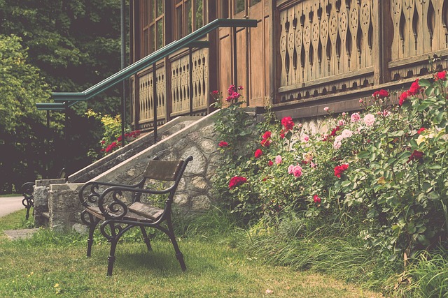 讓這支球隊 讓這支球隊